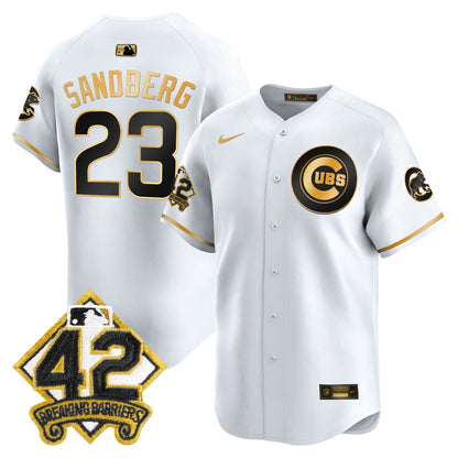 Men's Chicago Cubs 2025 Jackie Robinson Patch Vapor Premier Limited Jersey - All Stitched